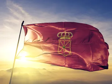 Bandera de Navarra Bandera de Navarra