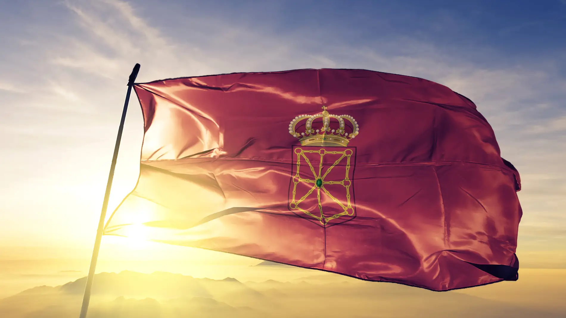 Bandera de Navarra