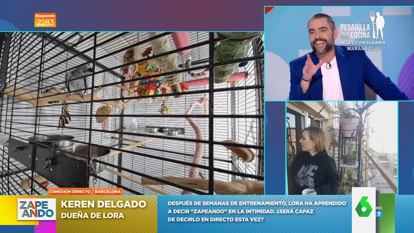 La inesperada respuesta de la lora Lora cuando su dueña le pide que diga Zapeando: "Tócate una teta" La inesperada respuesta de la lora Lora cuando su dueña le pide que diga Zapeando: "Tócate una teta"