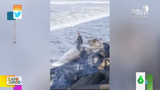 El momento en el que una ola se traga a un perro y a su dueño cuando caminaban por el paseo marítimo El momento en el que una ola se traga a un perro y a su dueño cuando caminaban por el paseo marítimo