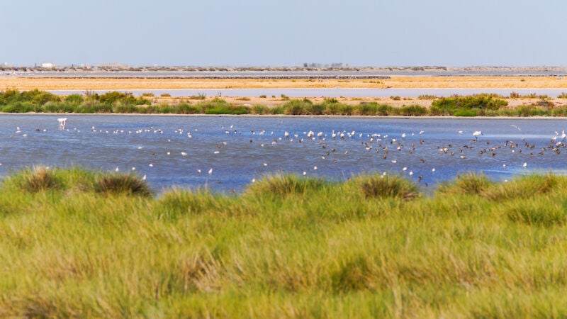 Doñana se seca, lo dice la NASA: 