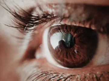 Plano detalle de ojo y pestañas Plano detalle de ojo y pestañas