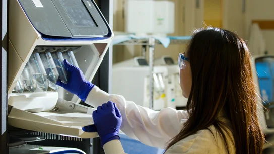 Imagen de archivo de una mujer científica en un laboratorio. Imagen de archivo de una mujer científica en un laboratorio.