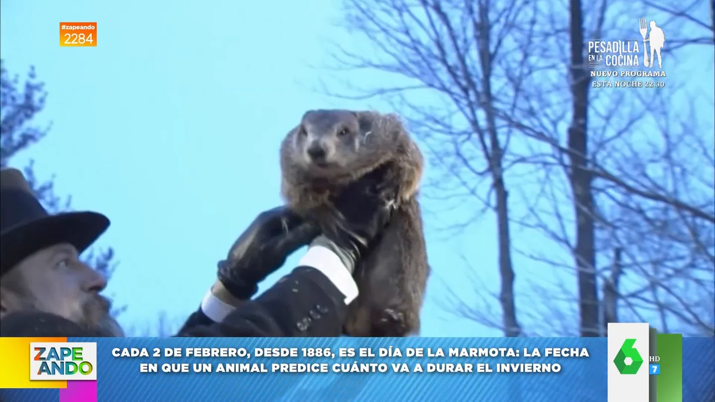 El veredicto de la marmota Phil que pone fecha al final del invierno El veredicto de la marmota Phil que pone fecha al final del invierno