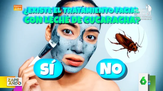 Caca de pájaro, cucarachas o semen de ballena, ¿sabrías decir cuál se usa en tratamientos faciales? Caca de pájaro, cucarachas o semen de ballena, ¿sabrías decir cuál se usa en tratamientos faciales?
