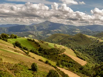 Monte en La Coruña (Galicia) Monte en La Coruña (Galicia)