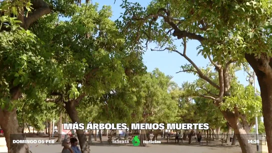 ÁRBOLES Y CALOR ÁRBOLES Y CALOR