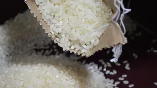 Imagen de archivo de granos de arroz.