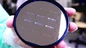 Microchip
