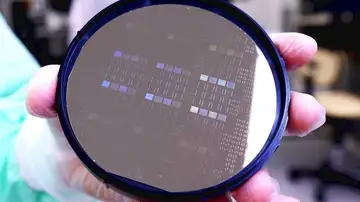Microchip Microchip