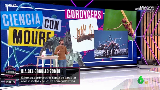 Ricardo Moure Ricardo Moure