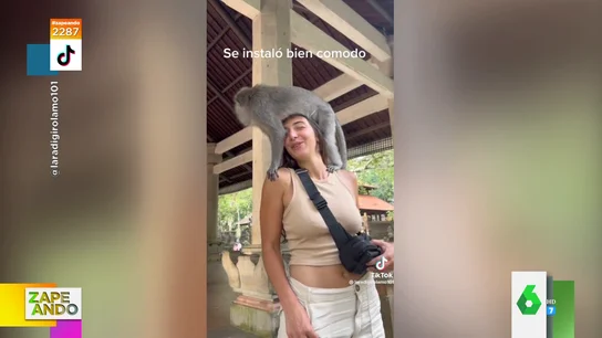 La reacción de una joven cuando un mono se le sube encima y la ataca La reacción de una joven cuando un mono se le sube encima y la ataca