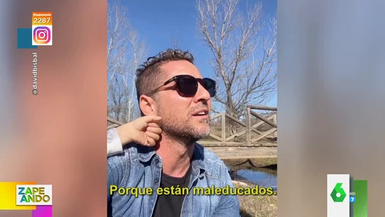 David Bisbal David Bisbal