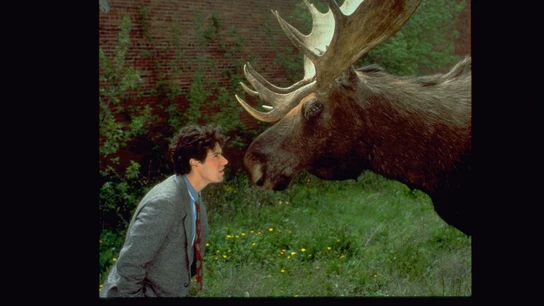 Rob Morrow ('Numbers') es el protagonista de 'Doctor en Alaska'. Rob Morrow ('Numbers') es el protagonista de 'Doctor en Alaska'.