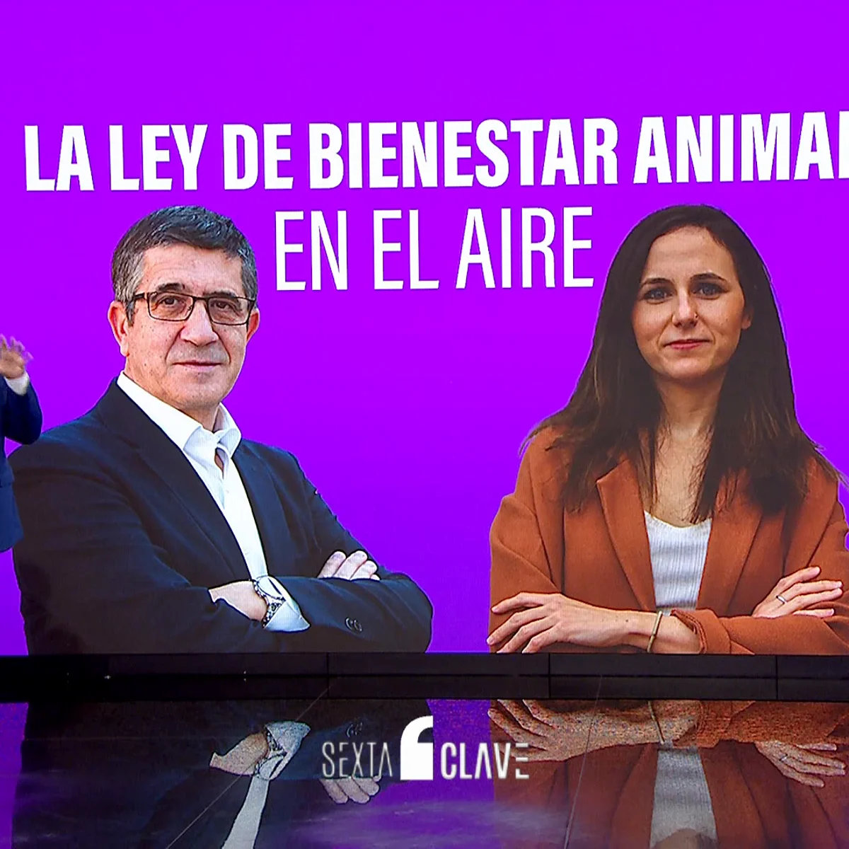 La ley de bienestar animal, en el aire: claves de la norma que enfrenta a PSOE y Podemos