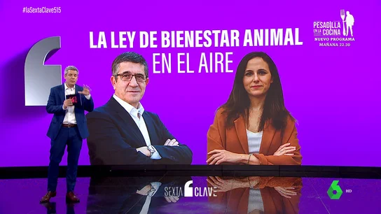 La ley de bienestar animal en el aire: el Gobierno no se pone de acuerdo La ley de bienestar animal en el aire: el Gobierno no se pone de acuerdo