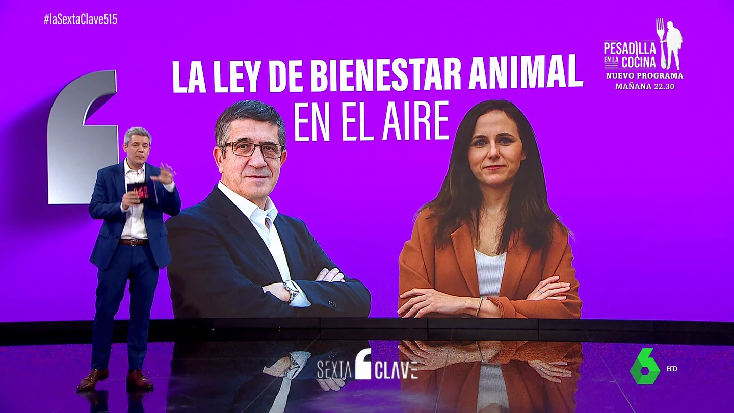 La ley de bienestar animal en el aire: el Gobierno no se pone de acuerdo La ley de bienestar animal en el aire: el Gobierno no se pone de acuerdo