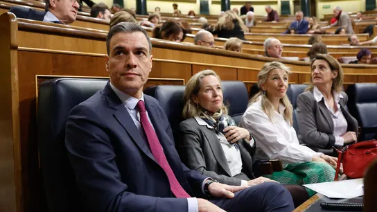 El presidente del Gobierno, Pedro Sánchez, durante la sesión de control El presidente del Gobierno, Pedro Sánchez, durante la sesión de control