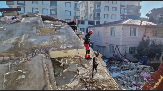 La UME, ya en Turquía: así trabajan los efetivos para rescatar a personas sepultadas por los terremotos La UME, ya en Turquía: así trabajan los efetivos para rescatar a personas sepultadas por los terremotos