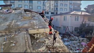 La UME, ya en Turquía: así trabajan los efetivos para rescatar a personas sepultadas por los terremotos