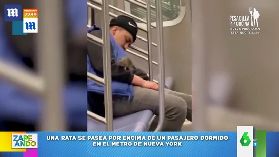 El viral de cómo una rata escala hasta el cuello de un hombre dormido en el metro de Nueva York El viral de cómo una rata escala hasta el cuello de un hombre dormido en el metro de Nueva York