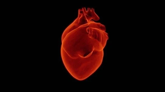 Hay que actuar rápido: cómo reconocer los síntomas de un infarto para diagnosticarlo cuanto antes Hay que actuar rápido: cómo reconocer los síntomas de un infarto para diagnosticarlo cuanto antes