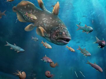La fauna marina se recupero un millon de anos despues de la gran extincion