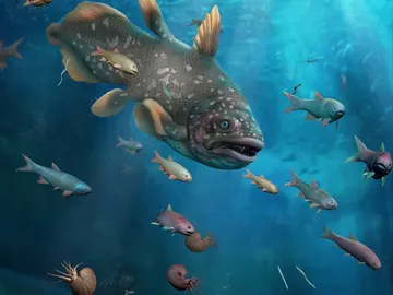 La fauna marina se recupero un millon de anos despues de la gran extincion La fauna marina se recupero un millon de anos despues de la gran extincion