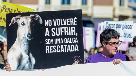 Una pancarta de 'No volveré a sufrir, soy una galga rescatada' en una concentración bajo el lema ‘No a la caza'. Una pancarta de 'No volveré a sufrir, soy una galga rescatada' en una concentración bajo el lema ‘No a la caza'.
