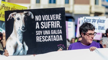 Una pancarta de 'No volveré a sufrir, soy una galga rescatada' en una concentración bajo el lema ‘No a la caza'.
