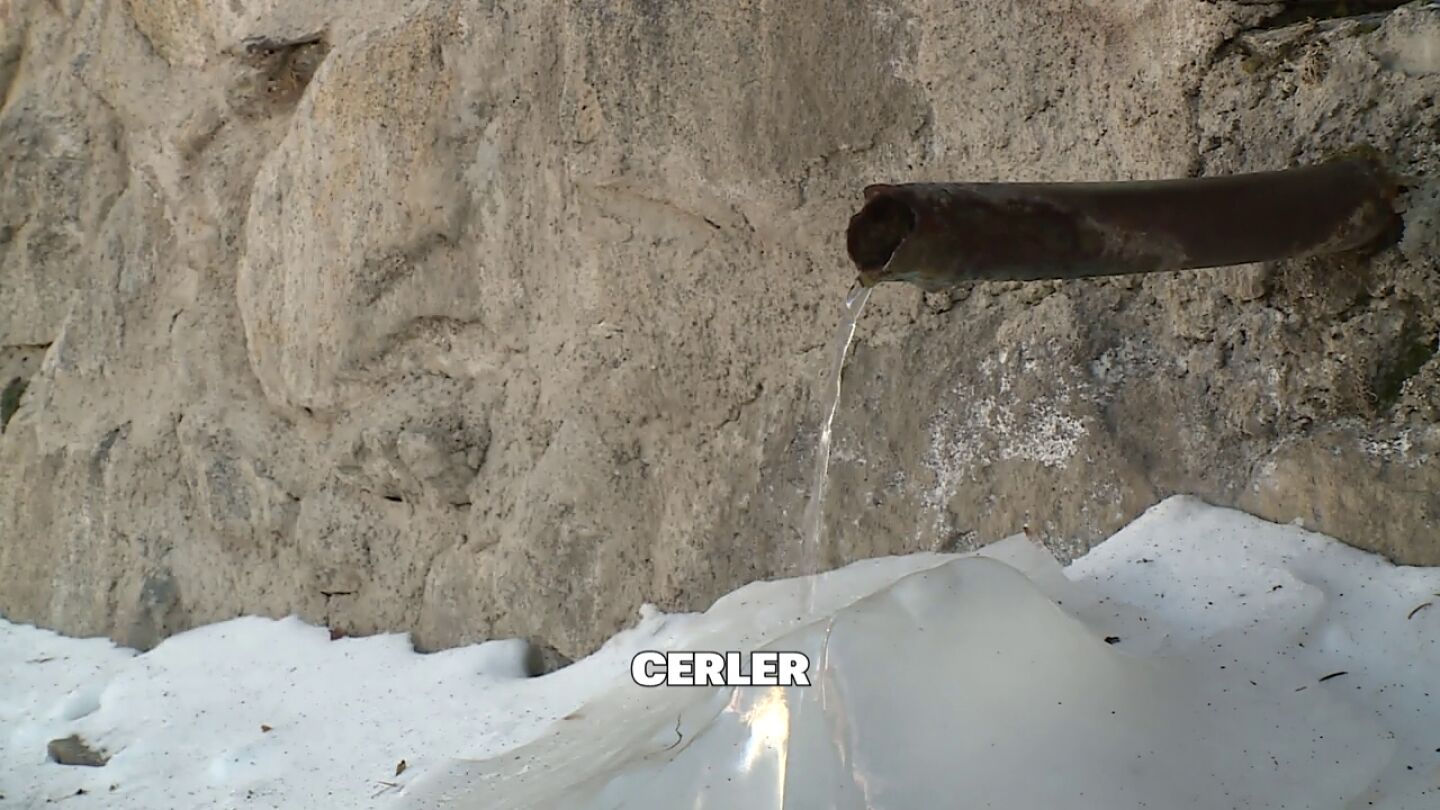 Cerler