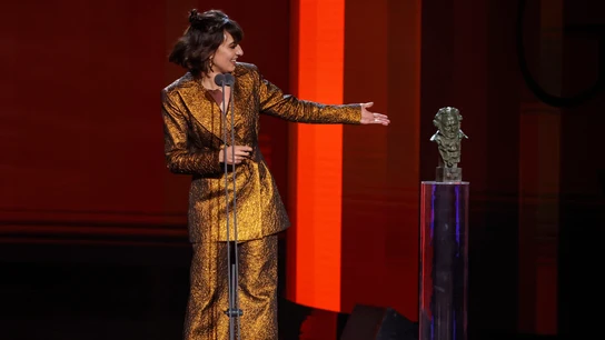 Horario y dónde ver los Premios Goya de 2023 y cómo seguir la alfombra roja Horario y dónde ver los Premios Goya de 2023 y cómo seguir la alfombra roja