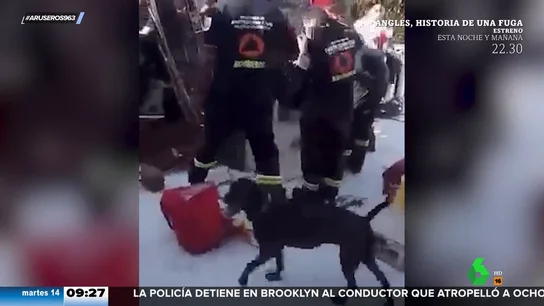Una perra rescata a un hombre de una cisterna en la que llevaba atrapado cuatro días Una perra rescata a un hombre de una cisterna en la que llevaba atrapado cuatro días