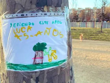 Cartel en defensa de un árbol en Madrid Río