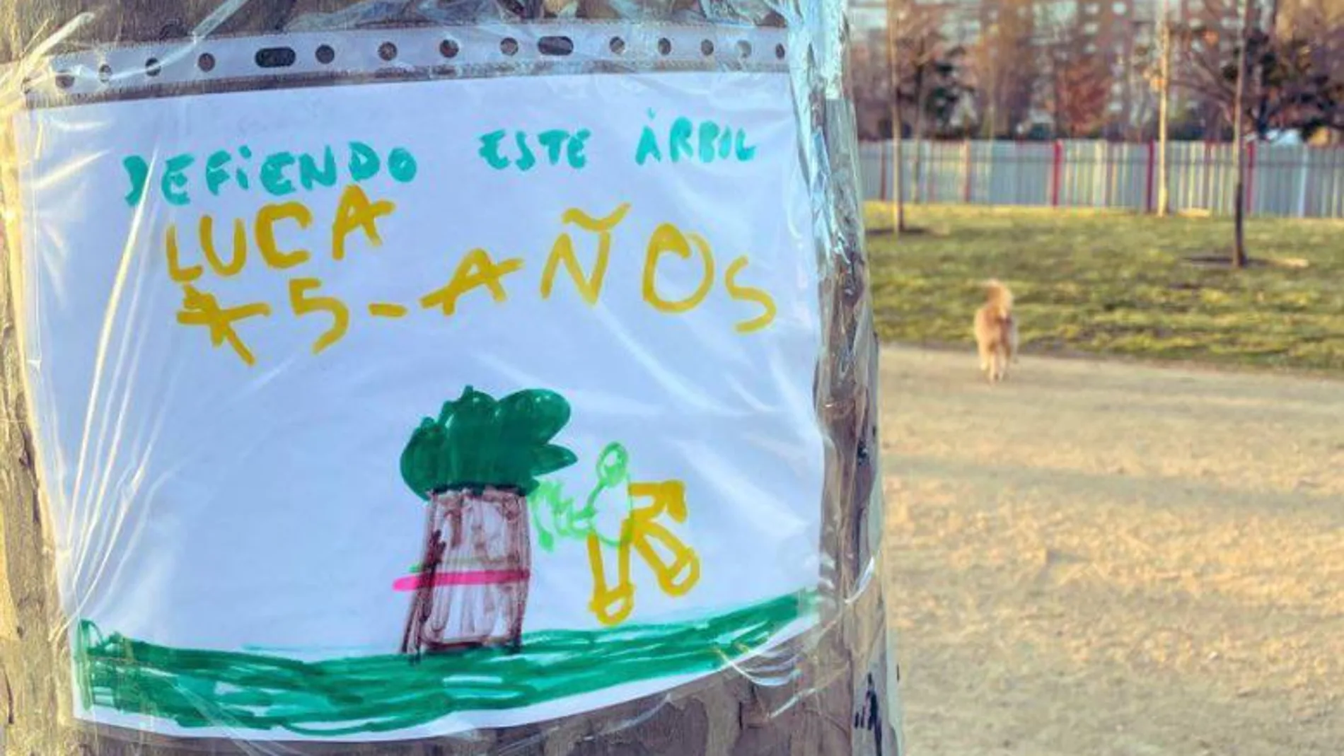 Cartel en defensa de un árbol en Madrid Río