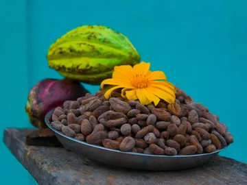 ¿Eres de café o de chocolate? Si no te decides tu destino es Centroamérica ¿Eres de café o de chocolate? Si no te decides tu destino es Centroamérica