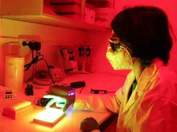 Laia Josa Culleré, en el Instituto de Química Avanzada de Cataluña Laia Josa Culleré, en el Instituto de Química Avanzada de Cataluña
