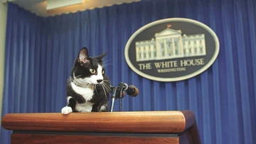 El gato Socks, la primera mascota del presidente Bill Clinton y la primera esposa Hillary Rodham Clinton.