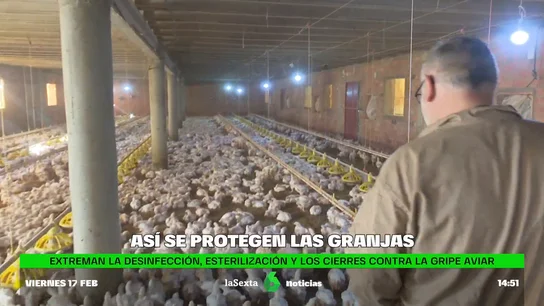 Así se protegen las granjas españolas contra la gripe aviar: desinfección, esterilización y vigilancia extrema Así se protegen las granjas españolas contra la gripe aviar: desinfección, esterilización y vigilancia extrema