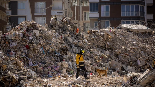 Rescatan con vida a un hombre sepultado entre los escombros tras 11 días del terremoto de Turquía Rescatan con vida a un hombre sepultado entre los escombros tras 11 días del terremoto de Turquía