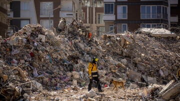 Rescatan con vida a un hombre sepultado entre los escombros tras 11 días del terremoto de Turquía