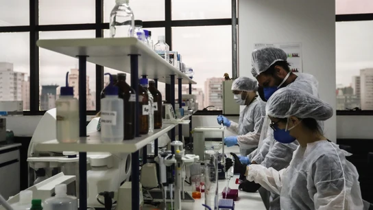 Imagen de archivo de científicos durante una investigación relacionada con el tratamiento del VIH Imagen de archivo de científicos durante una investigación relacionada con el tratamiento del VIH