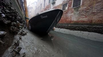 La marea baja desluce el Carnaval de Venecia y deja imágenes de góndolas varadas en el fango