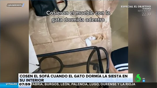 Cosen el sofá roto sin saber que su gato estaba dormido dentro del hueco Cosen el sofá roto sin saber que su gato estaba dormido dentro del hueco