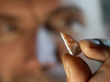 El arco y las flechas una posible ventaja de los humanos modernos frente a los neandertales El arco y las flechas una posible ventaja de los humanos modernos frente a los neandertales