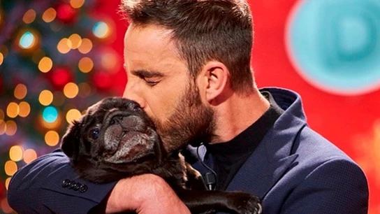 La emotiva carta de despedida de Dani Rovira a su perrita Carapapa: "Tengo el alma en mil pedazos" La emotiva carta de despedida de Dani Rovira a su perrita Carapapa: "Tengo el alma en mil pedazos"