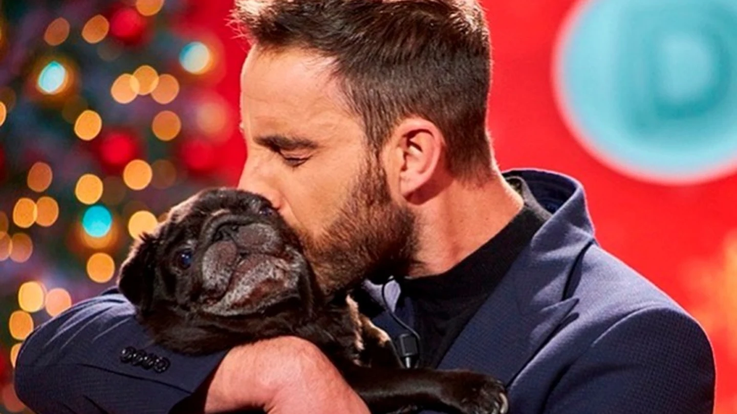 La emotiva carta de despedida de Dani Rovira a su perrita Carapapa: "Tengo el alma en mil pedazos" La emotiva carta de despedida de Dani Rovira a su perrita Carapapa: "Tengo el alma en mil pedazos"