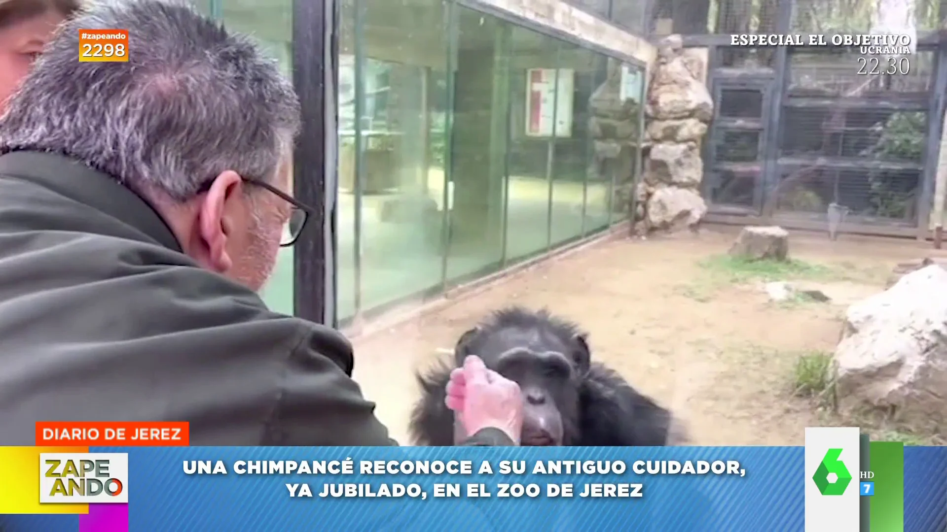 El emotivo vídeo viral de un jubilado al que reconoce la chimpancé a la que cuidaba en el zoo