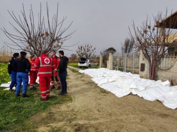 NGOs denounce that they could not care for migrants shipwrecked in Calabria due to Georgia Meloni’s policies
