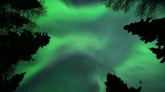 Una sorprendente aurora boreal sorprende en el cielo de Alaska Una sorprendente aurora boreal sorprende en el cielo de Alaska